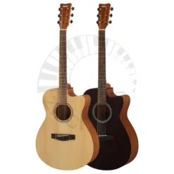 Acoustic Guitar